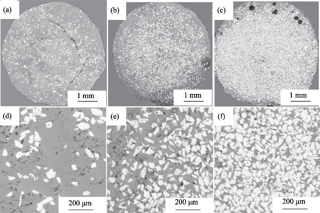 样件横截面全貌以及颗粒分布图