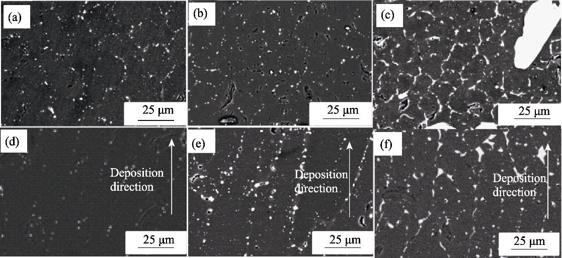 样件微观组织特征