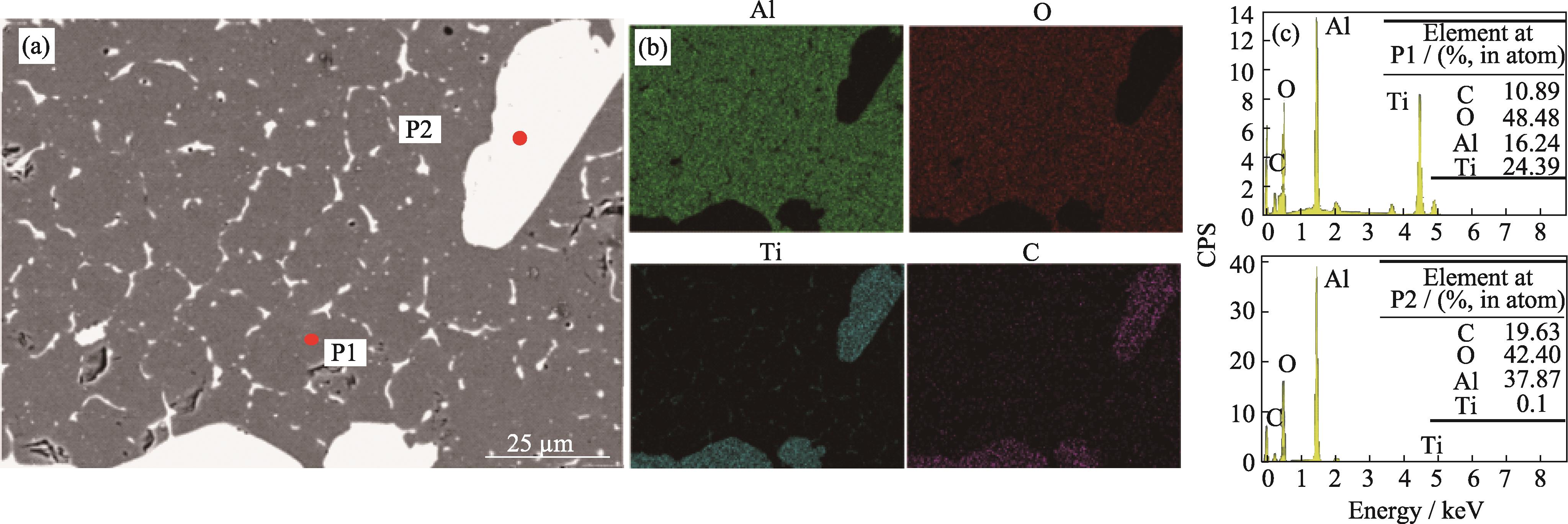 样件横截面EDS分析