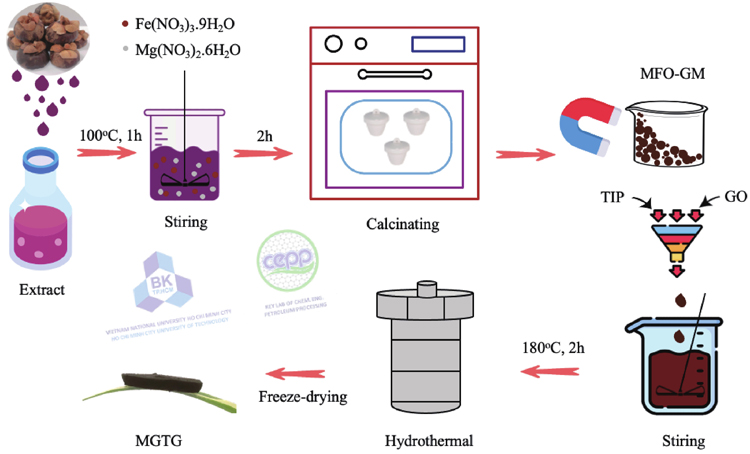 (Color online) The synthesis procedure of MGTG material.