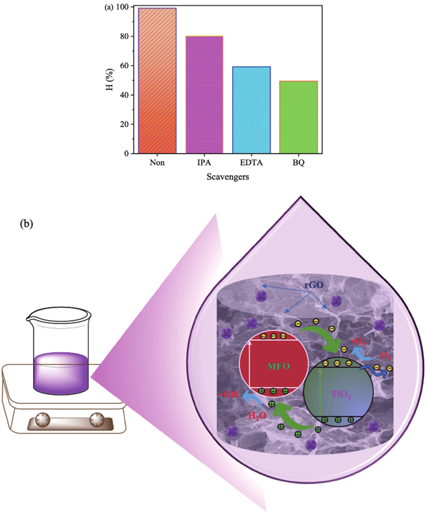 (Color online) (a) Effects of radical scavengers on CV photocatalytic degradation under UV light and (b) photocatalytic scheme of the MGTG-200 material.