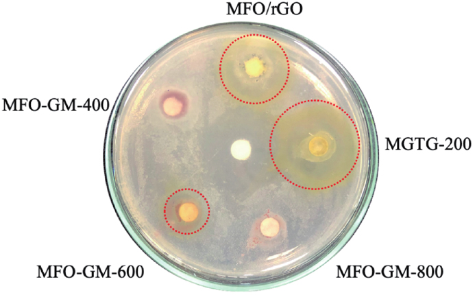 (Color online) Inhibition zone diameter of surveyed materials against S. aureus.
