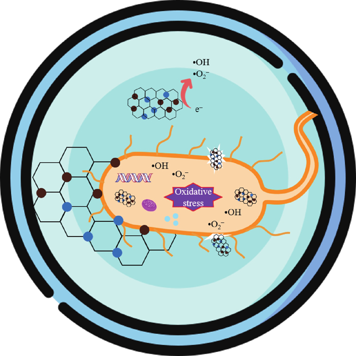 (Color online) Antibacterial mechanism of the MGTG-200 material.