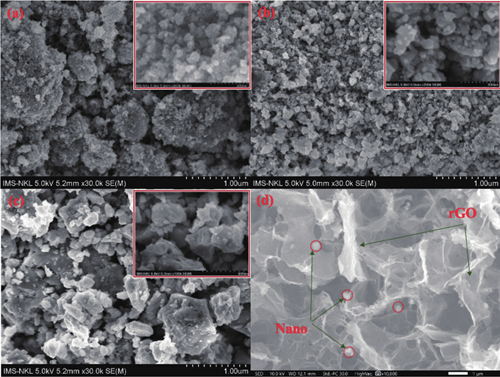 (Color online) FE-SEM images of (a) MFO-GM-400, (b) MFO-GM-600, (c) MFO-GM-800, and (d) MGTG-200.