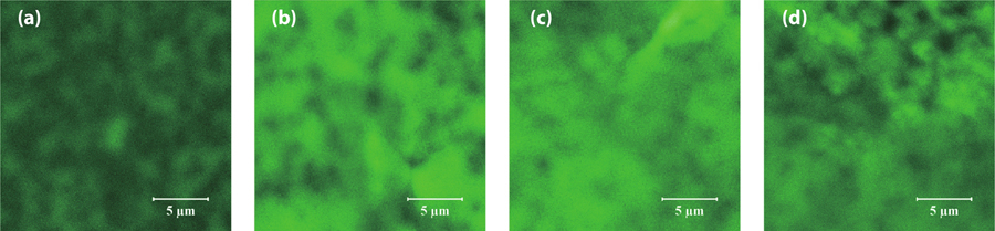 (Color online) CL images of (a) Sample M0, (b) Sample M1, (c) Sample M3, and (d) Sample M5.