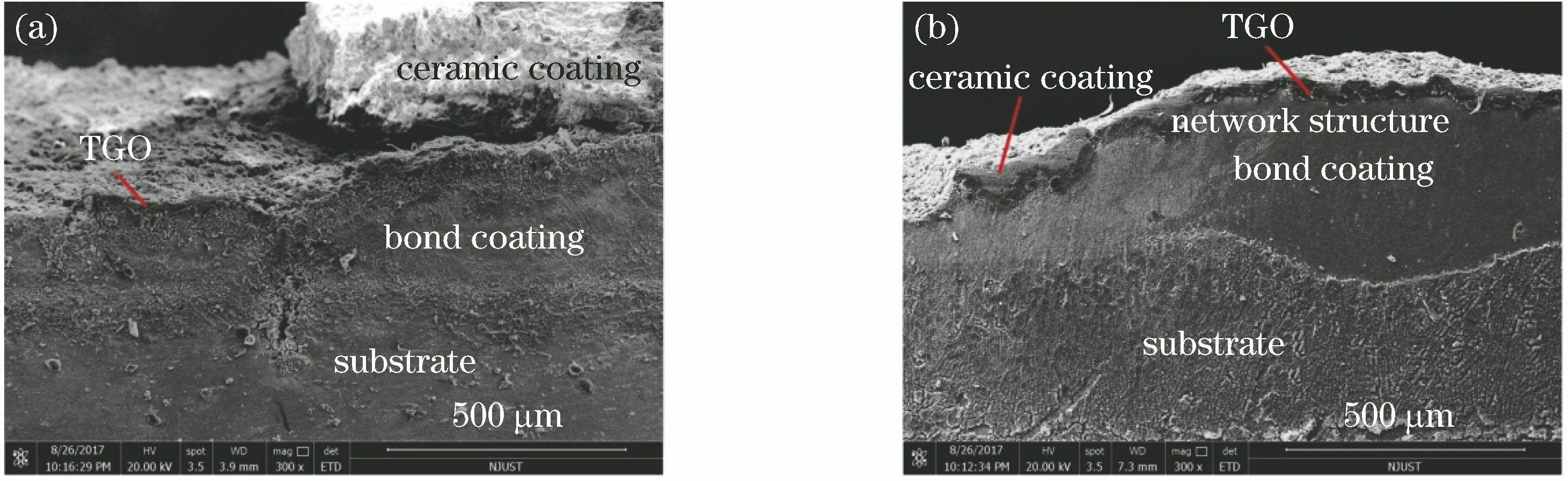 经过热震实验后失效的热障涂层侧面图。(a)传统两层结构;(b)有网状衬垫