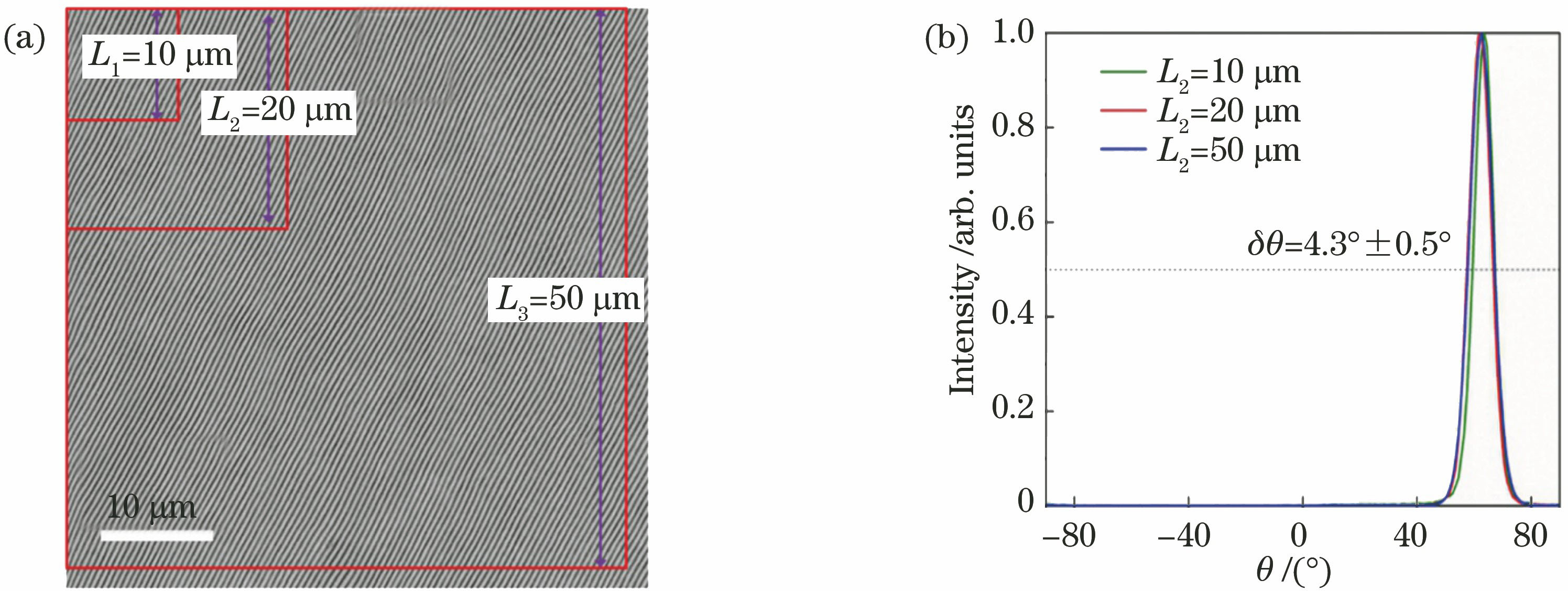 双束延时飞秒激光在金属钨表面产生的大面积高规整性周期条纹结构。(a)结构形貌;(b)结构方向角色散量δθ