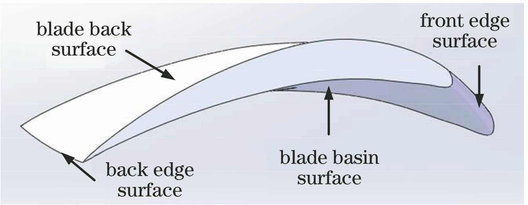 叶片曲面的区域划分