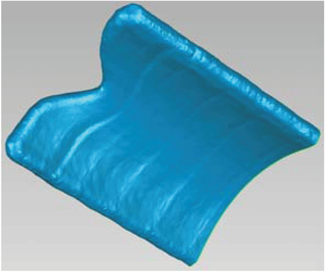 经过点云精简、三角网格化后的叶片模型