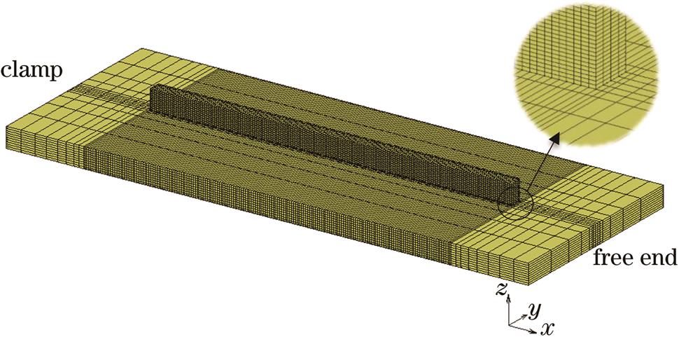 有限元网格模型
