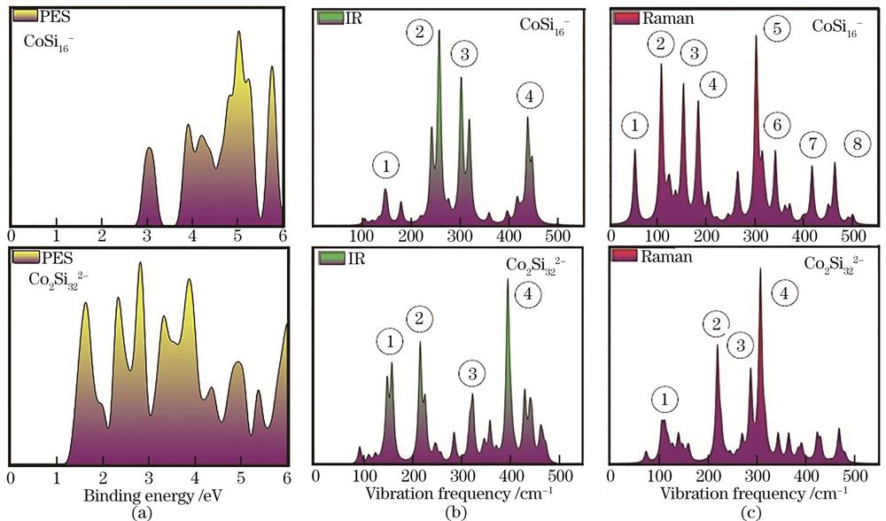 拟合CoSi16-和Co2Si322-团簇的(a)PES、(b)IR和(c)Raman光谱