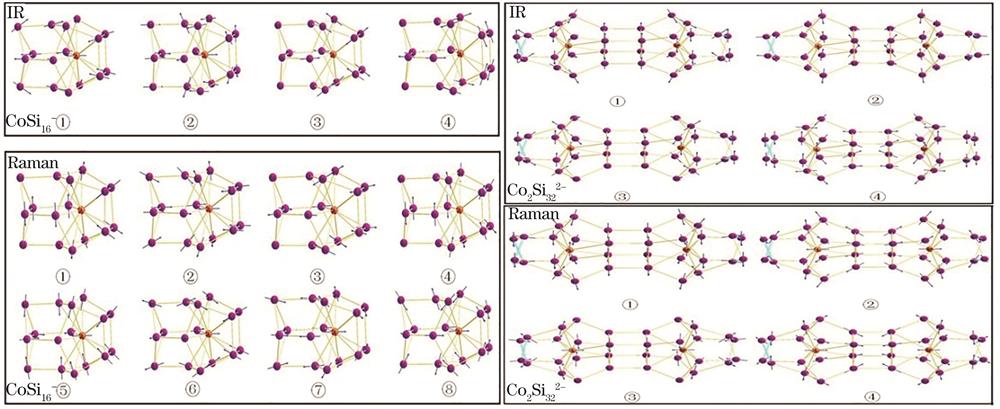 CoSi16-和Co2Si322-团簇中特征峰对应原子的振动方向