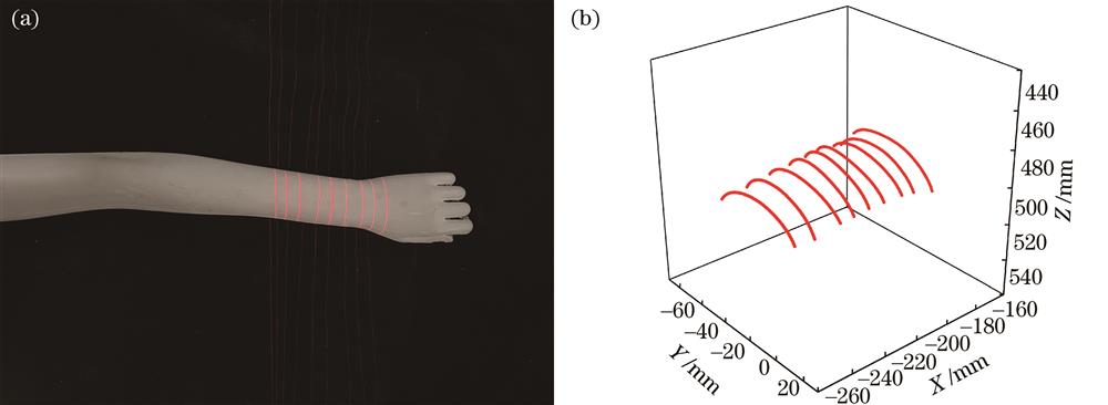 手臂模型的测量结果。(a)测量模型;(b)三维点云数据