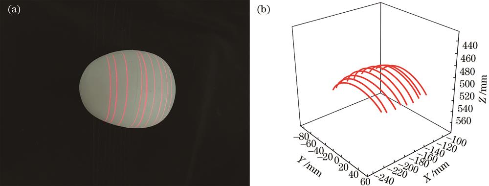 头部模型的测量结果。(a)测量模型;(b)三维点云数据