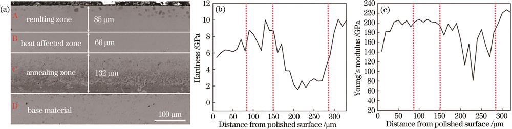 抛光后材料的内部结构及性能变化。(a)显微组织;(b)硬度;(c)杨氏模量