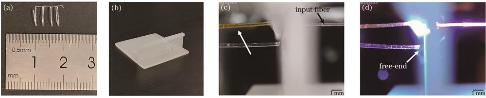 水凝胶支撑打印的光热微执行器。(a)光热微执行器;(b)固定在固化树脂支撑板上的光热微执行器;(c)执行驱动臂的显微图像;(d)悬臂梁自由端的输出