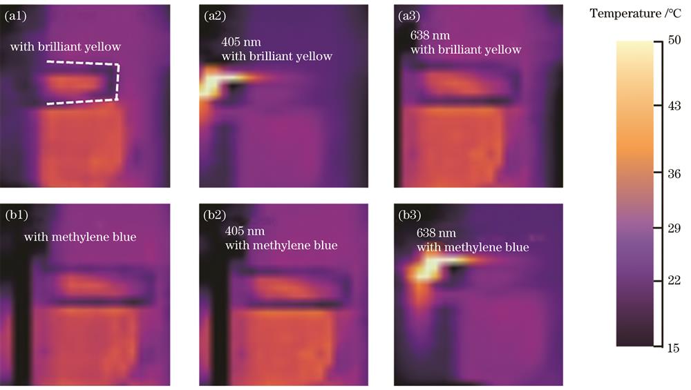 热成像相机下光热微执行器的初始状态。(a)Ⅰ型光热微执行器;(b)Ⅱ型光热微执行器