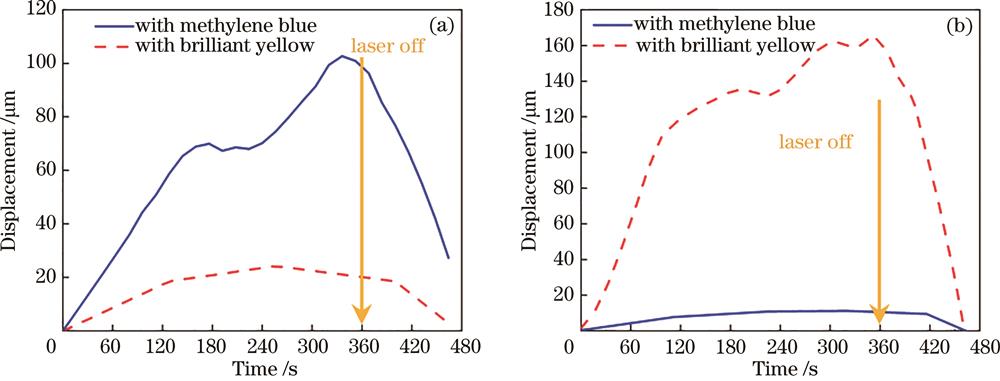 执行器位移随时间的变化曲线。(a)408 nm激光;(b)638 nm激光