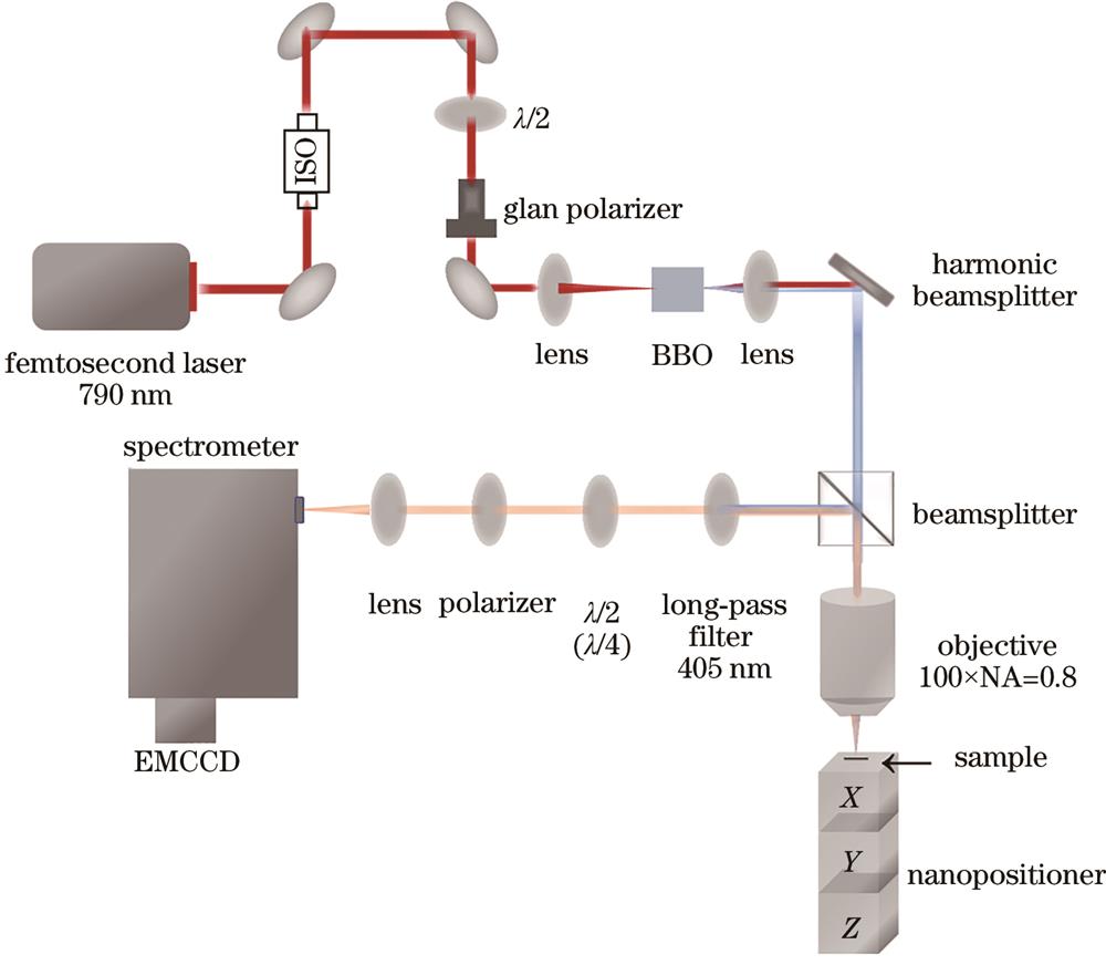单颗粒偏振光谱表征系统原理图