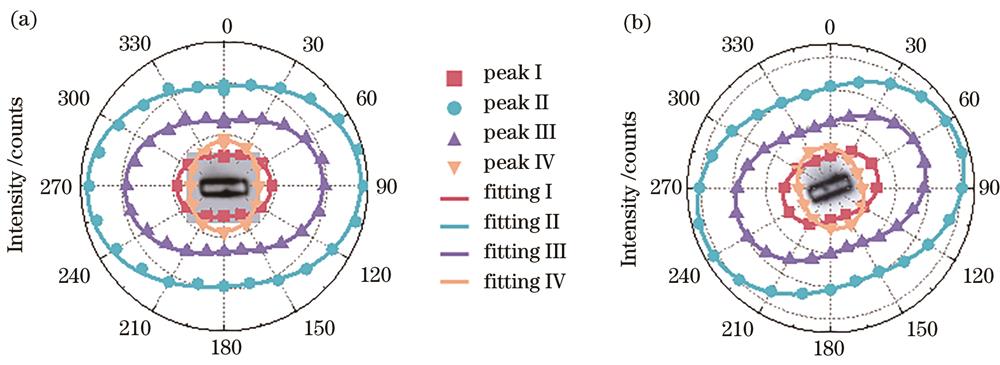 两个不同取向的NaYF4∶Sm3+单颗粒晶体的发光峰强度随偏振角的变化及拟合曲线图谱
