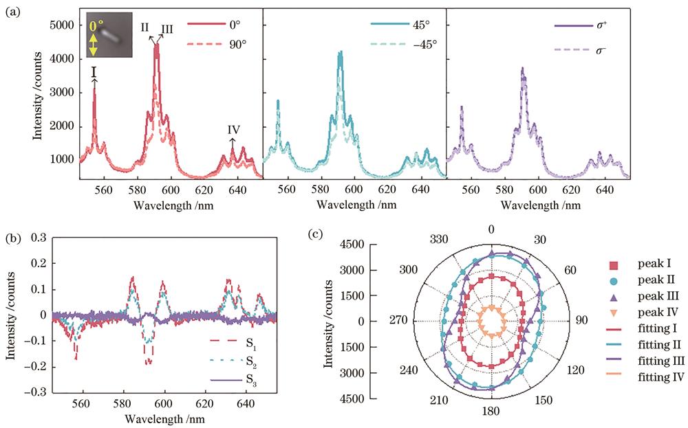 单斜相BiPO4∶Sm3+单颗粒晶体偏振发光分析。(a)6个偏振庞加莱球基矢下BiPO4∶Sm3+单颗粒光致发光图谱(插图:所测单颗粒面内取向,长约3 μm);(b)所测光谱范围内的S1、S2、S3;(c)4个发光峰强度随偏振角的变化及拟合曲线图谱