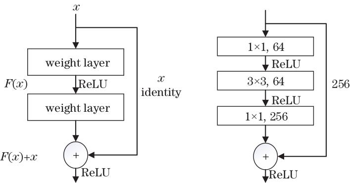 基于特征融合与注意力机制的野生菌细粒度分类