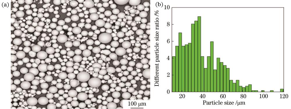 TC4粉末的微观形貌和粒径分布。(a)粉末形貌图;(b)粉末粒径百分比
