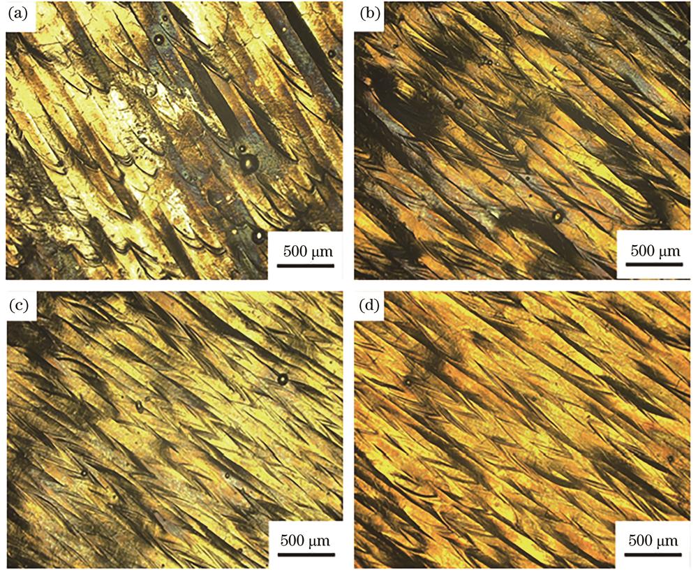 不同样件的表面形貌SEM图。(a)样件R1;(b)样件R2;(c)样件R3;(d)样件R4