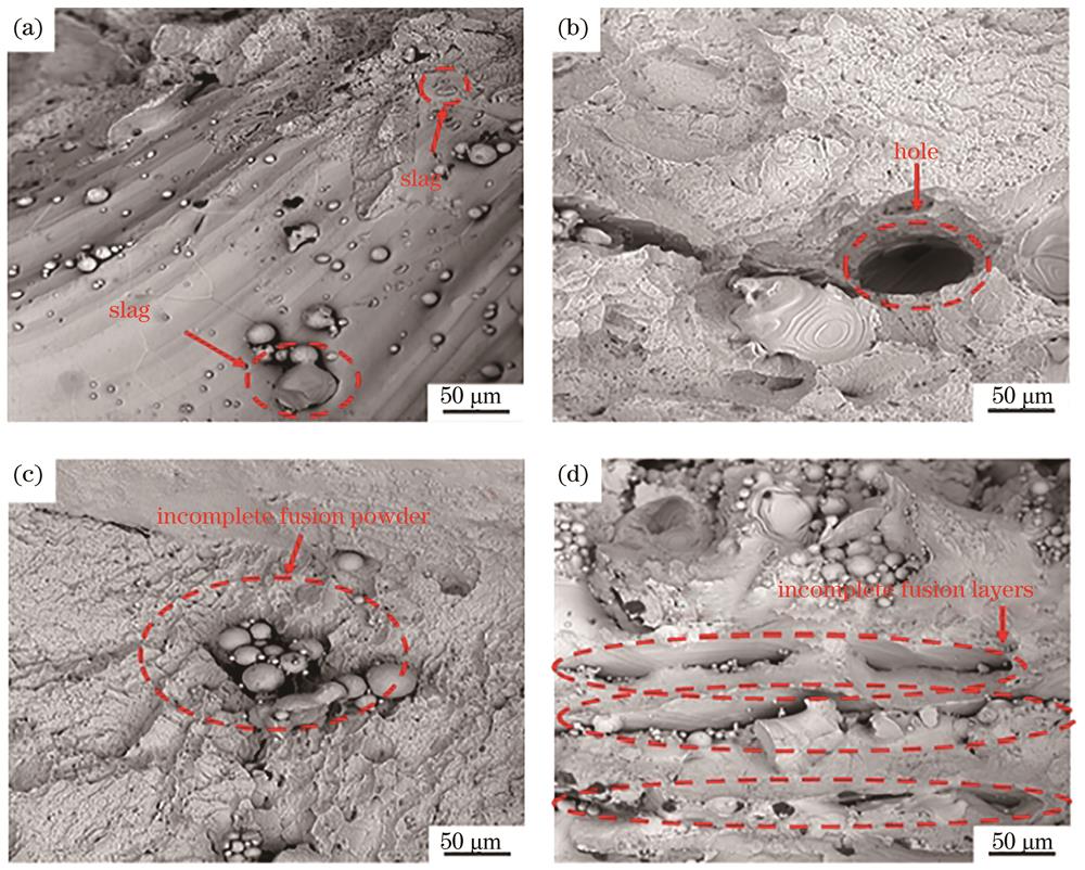R1样件内部缺陷形貌的SEM照片。(a)夹渣;(b)孔洞;(c)未熔化粉末;(d)层间未熔合