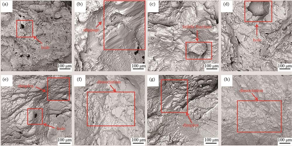 不同样件断口形貌图。(a)(b)样件R1;(c)(d)样件R2;(e)(f)样件R3;(g)(h)样件R4