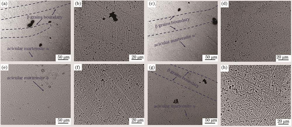不同样件的金相组织图。(a)(b)样件R1;(c)(d)样件R2;(e)(f)样件R3;(g)(h)样件R4