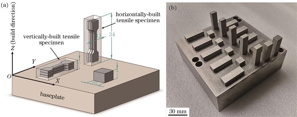 拉伸试样毛坯和工艺试块。(a)尺寸示意图;(b)实物图