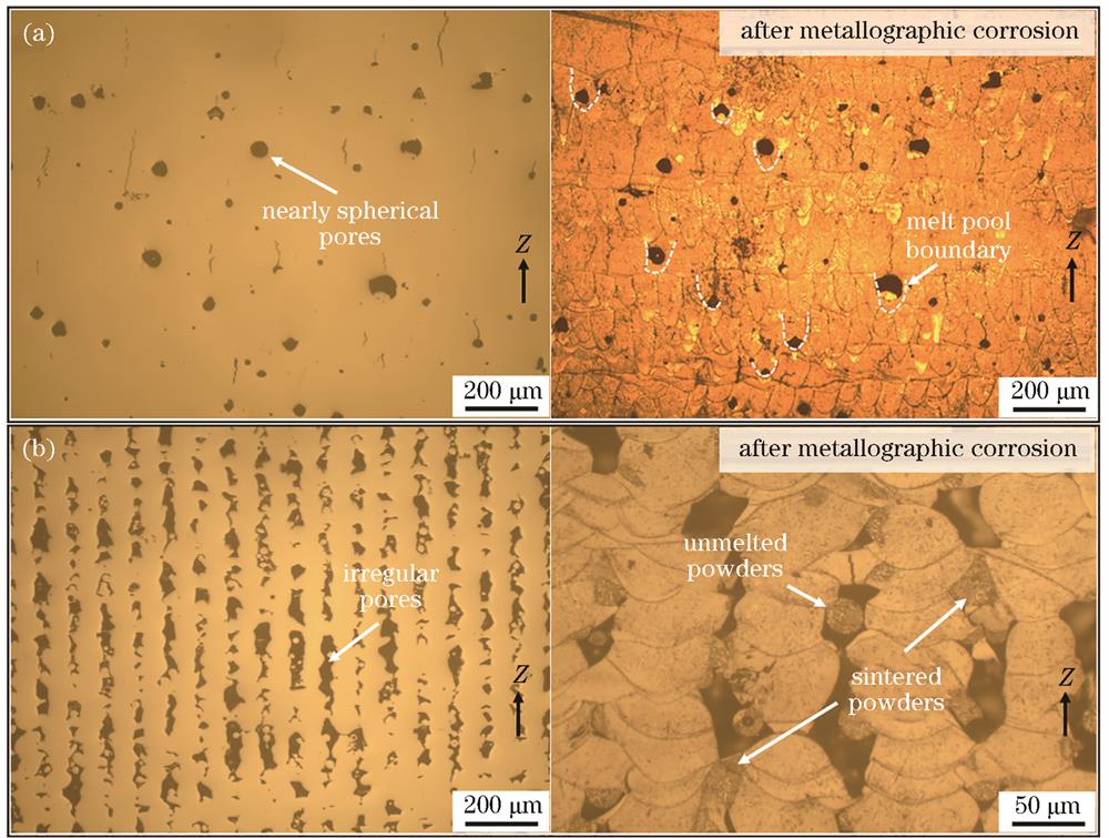 孔隙缺陷在金相腐蚀前后的形貌对比图。(a)近圆形孔隙;(b)不规则孔隙
