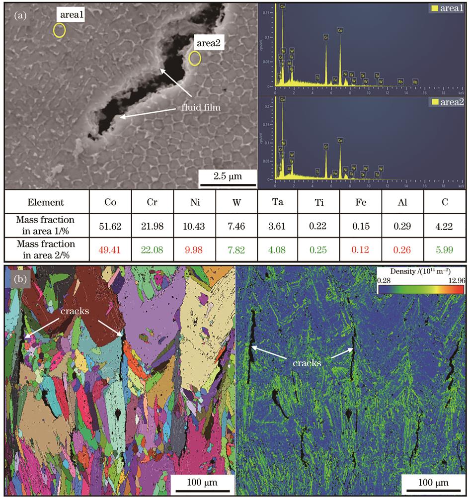 裂纹区域的EDS和EBSD分析。(a)EDS;(b)EBSD