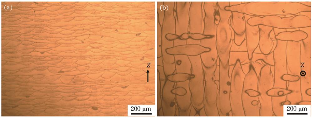 最优工艺参数下LPBF成形ECY768合金腐蚀后的光镜图。(a)纵截面;(b)横截面