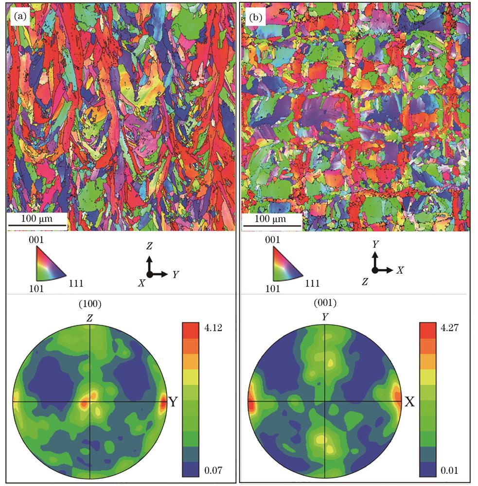 最优工艺参数下LPBF成形ECY768合金的EBSD-IPF图和EBSD-PF图。(a)纵截面;(b)横截面