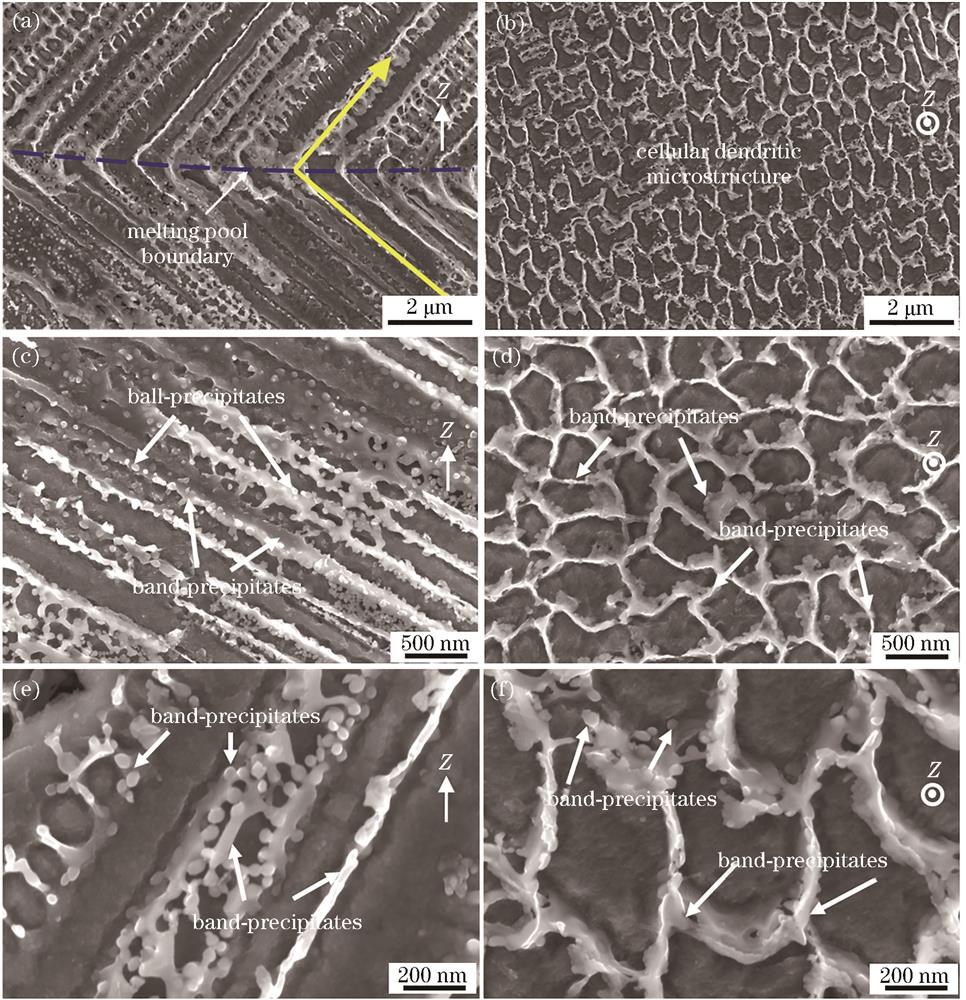 最优工艺参数下LPBF成形ECY768合金晶内显微组织SEM图。(a)(c)(e)纵截面;(b)(d)(f)横截面