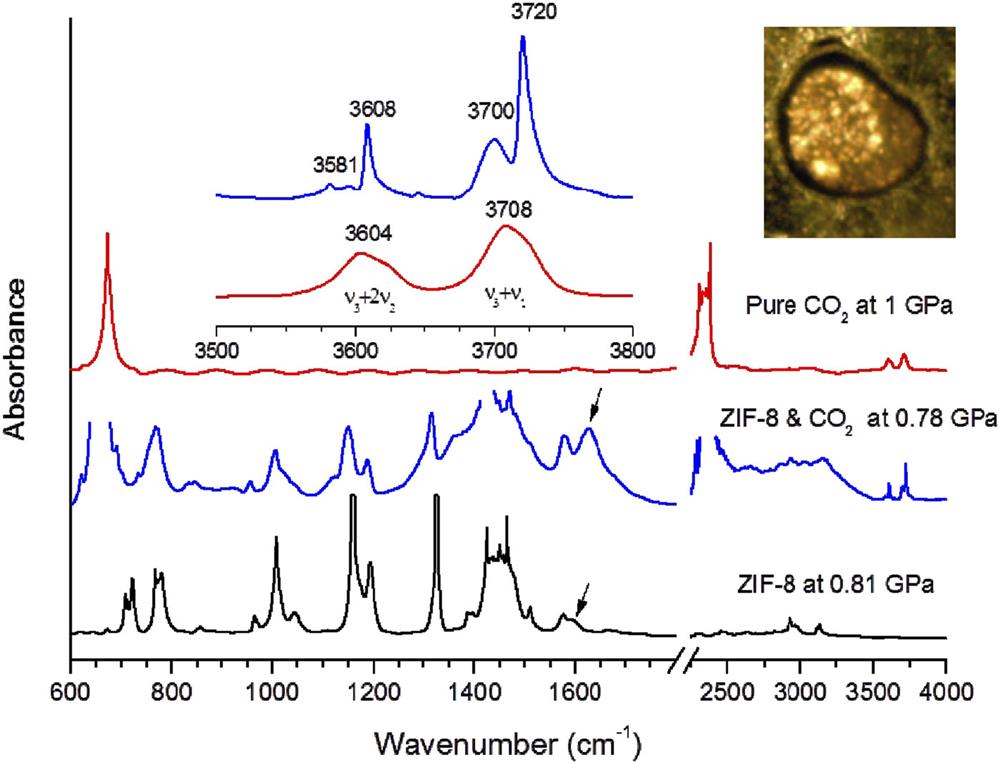Synchrotron-based infrared microspectroscopy under high