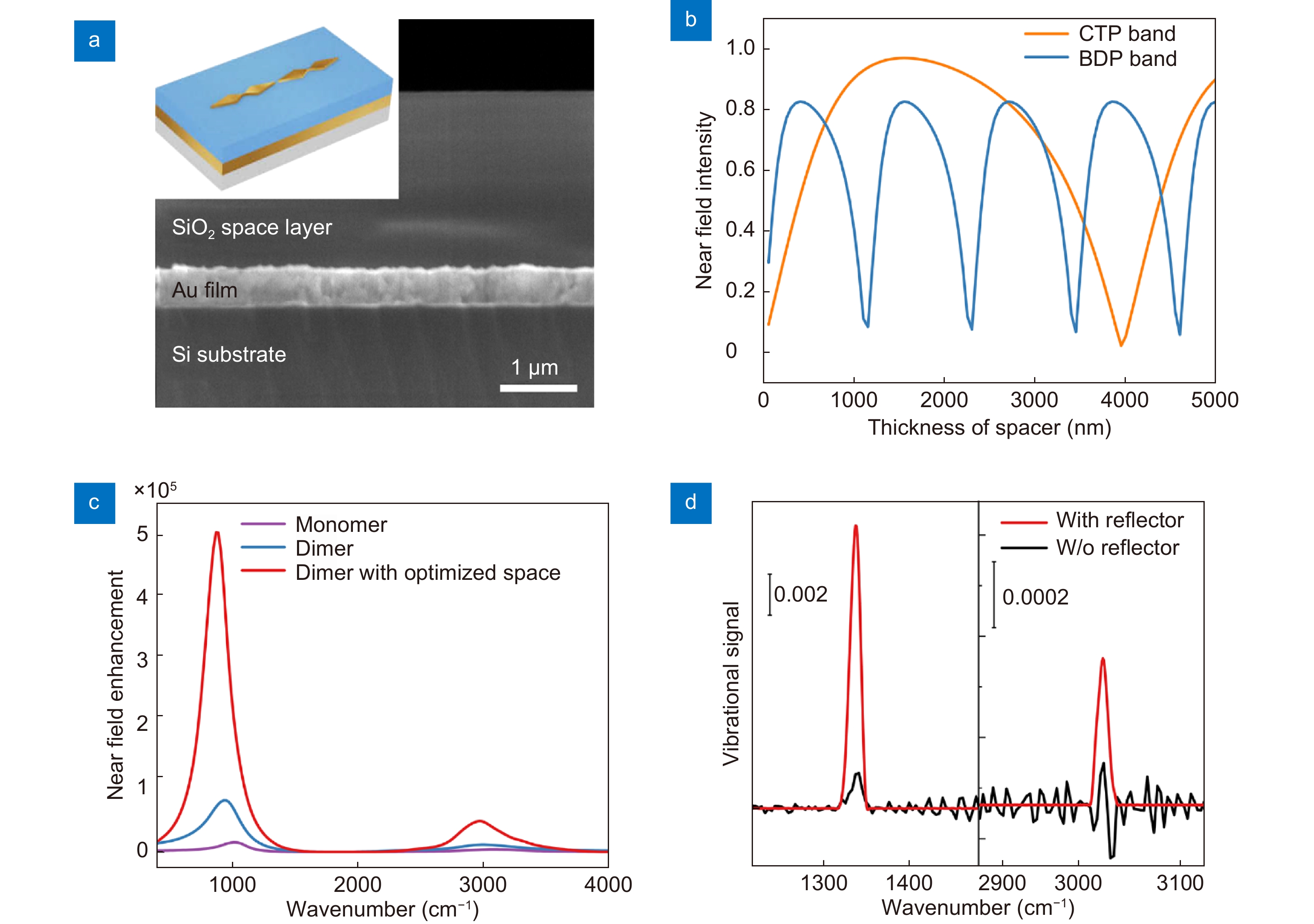 (a) SEM of the cross section of the reflective substrate. A 200 nm gold film is sandwiched between a 1400 nm SiO2 spacer layer and the Si substrate. The scale bar is 1 μm. Inset: schematic of the NBRA dimer-on-reflector structure to integrate the waveguide-cavity coupling and nanogap coupling. (b) Normalized LFEFs of CTP mode (blue curve) and BDP mode (orange curve) as a function of the thickness of the spacer layer. (c) Simulated LFEFs of monomer, dimer and dimer with 1400 nm SiO2 spacer layer. (d) SEIRA spectra of PNTP on NBRA dimer on transmitted substrate or on reflective substrate.