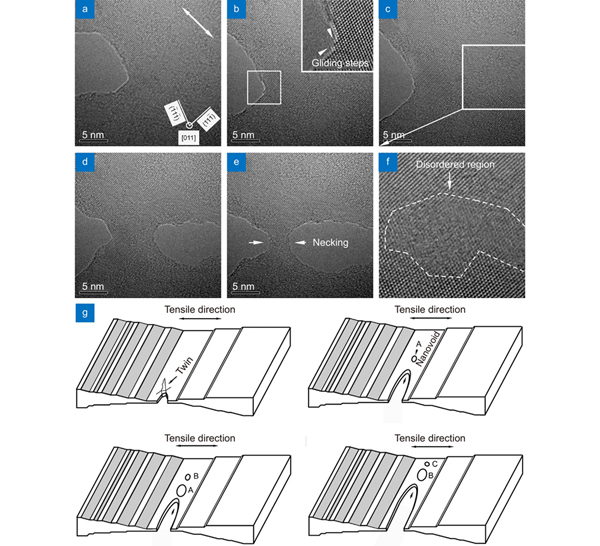 A review and a statistical analysis of porosity in metals