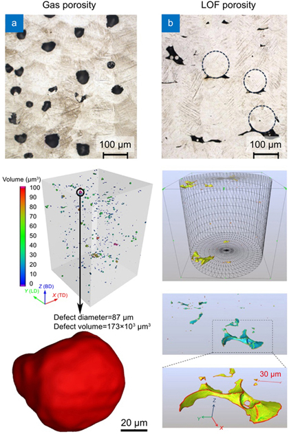 A review and a statistical analysis of porosity in metals
