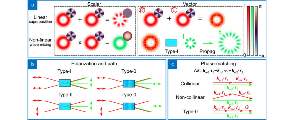 Linear and nonlinear processes. Using second harmonic generation (SHG), we illustrate the differences between linear and nonlinear processes. (a) Linear processes produce an output mode that is the addition of two input spatial modes of light, while SHG produces the product of the two modes. The linear superposition of two different modes with orthogonal polarization states generates a vector beam, which has a inhomogeneous polarization state. The polarization profile is represented as yellow lines across the transverse profile. In SHG, and wave mixing in general, the polarization profile will dictate where wave mixing happens and thus alter directly the spatial profile. In (b) we show exemplify how path can also be controlled via polarization and the different phase matching conditions of crystals, including the periodic poling of type-0. The mechanism which allows these interactions is sketched in (c). Phase-matching is the condition necessary for wave mixing to occur and exploits birefringence (types I and II) or periodical polling (type-0) to achieve it.