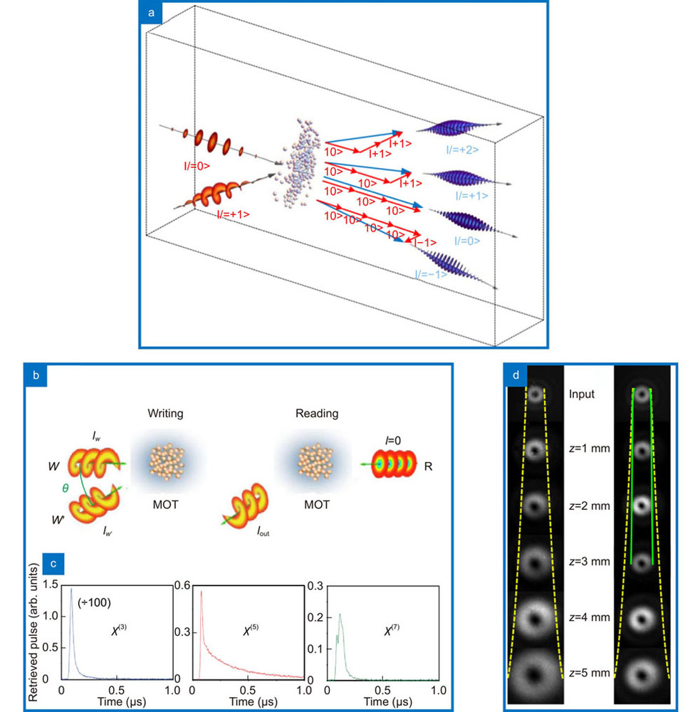 Higher order process. In the generation of high harmonic orders, it is possible to generate beams of many different OAM from just two different inputs, as depicted in (a). The process of writting and reading optical memory is depicted in (b) and the diference in time scales depending on the order of the nonlinear process in (c). In (d) it is demonstrated robust self-trapping of a bright vortex beam by exploiting higher order nonlinearities of odd orders. Figure repoduced from: (a) ref.209, Springer Nature; (b) ref.191, © Optica Publishing Group; (c) ref.192, © Optica Publishing Group; (d) ref.204, © American Physical Society.