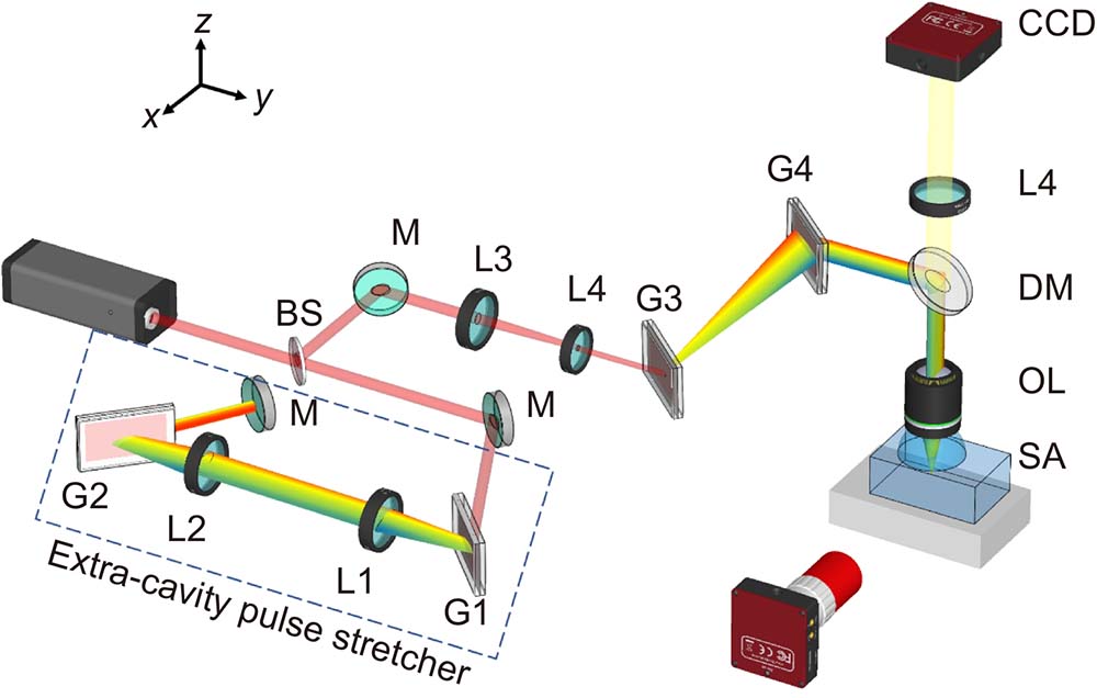 Schematic of the experimental layout. BS: beam splitter; M: mirror; G1–G4: diffraction gratings; L1–L4: lenses with different focal lengths; DM: dichroic mirror; OL: objective lens; SA: sample. The dashed rectangle indicates the proposed extra-cavity pulse stretcher.