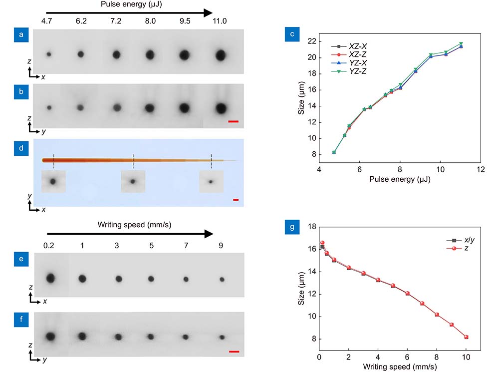 The influence of pulse energy and writing speed on the fabrication resolution in the SSTF scheme. Cross-sectional optical micrographs of laser-inscribed lines in the glass along (a) y and (b) x directions with different pulse energies ranging from 4.7 µJ to 11.0 µJ. (c) Lateral and longitudinal sizes of lines in XZ and YZ planes versus pulse energies. (d) A laser-written line using segmented processing with different pulse energies ranging from 11.0 µJ to 4.7 µJ at a writing speed of 5 µm/s. The insets in (d) are the corresponding cross-sectional view optical micrographs. Cross-sectional optical micrographs of several lines inscribed along (e) y and (f) x directions at different writing speeds ranging from 0.2 mm/s to 9 mm/s, pulse energy was set at 8 µJ. (g) Lateral and longitudinal resolutions versus writing speeds. Scale bars indicate 20 µm.