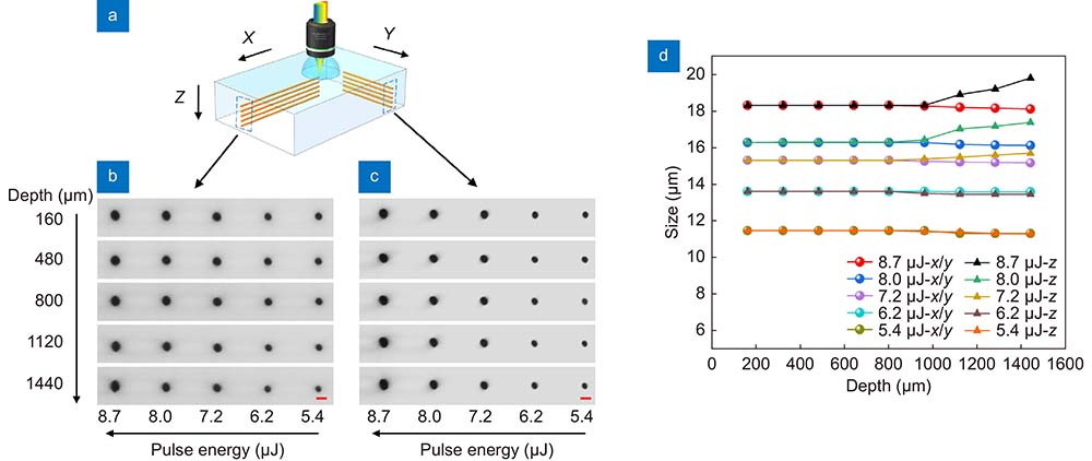 The influence of processing depth on the fabrication resolution in the SSTF scheme. (a) Schematic of inscribing lines in glass at different depths along the X and Y directions. Cross-sectional optical micrographs of the lines written along the (b) X and (c) Y directions, respectively. (d) The lateral and longitudinal resolutions versus depth. Scale bar: 20 μm.