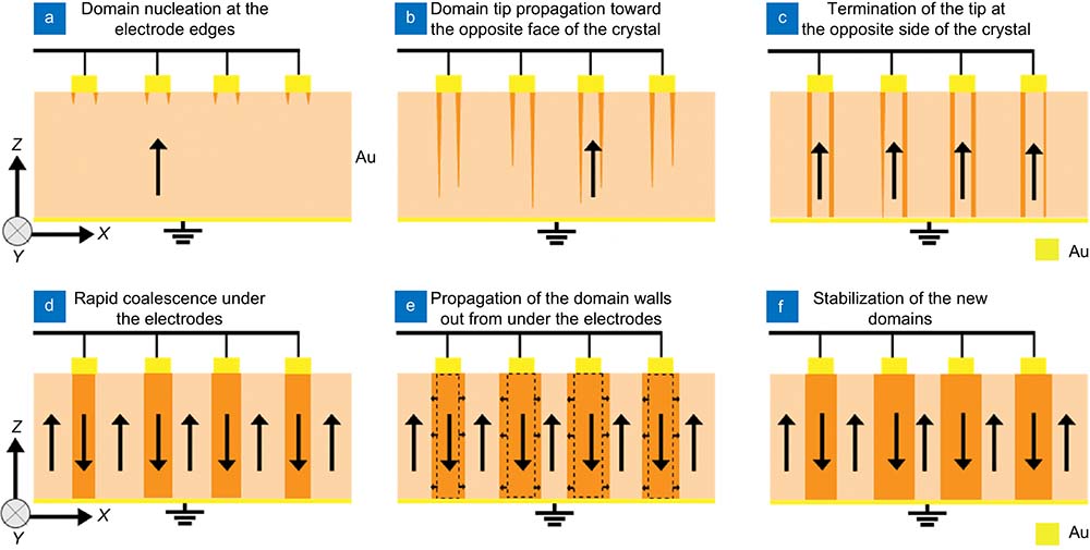 Ferroelectric domain engineering of Lithium niobate | Opto