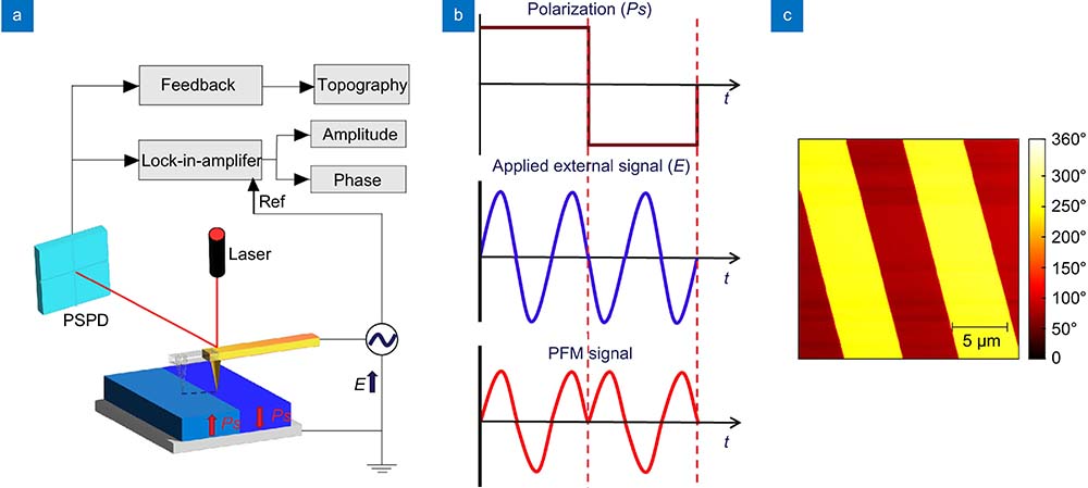 シン Ferroelectric domain engineering of Lithium niobate | Opto