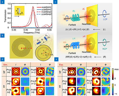 Terahertz active multi-channel vortices with parity symmetry