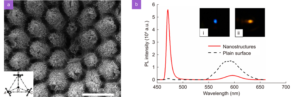 (a) SEM image of composite nanostructures on ZnSe crystal. (b) The photoluminescence (PL) spectra of the plane surface and composite nanostructures irradiated by 1200 nm femtosecond laser. Insets (i) and (ii) show PL images of the nanostructures and plane surface, respectively. Figure reproduced with permission from ref.175, AIP Publishing.